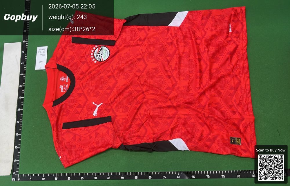 25/26 Season Egypt Home Fan Version QC photo 2