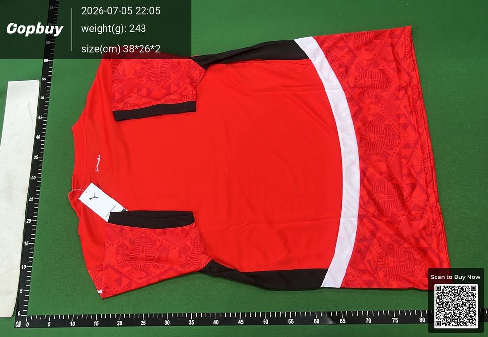25/26 Season Egypt Home Fan Version QC photo 3