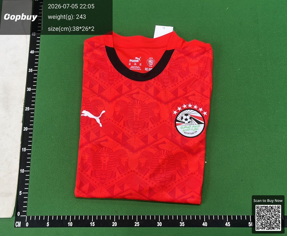 25/26 Season Egypt Home Fan Version QC photo 4