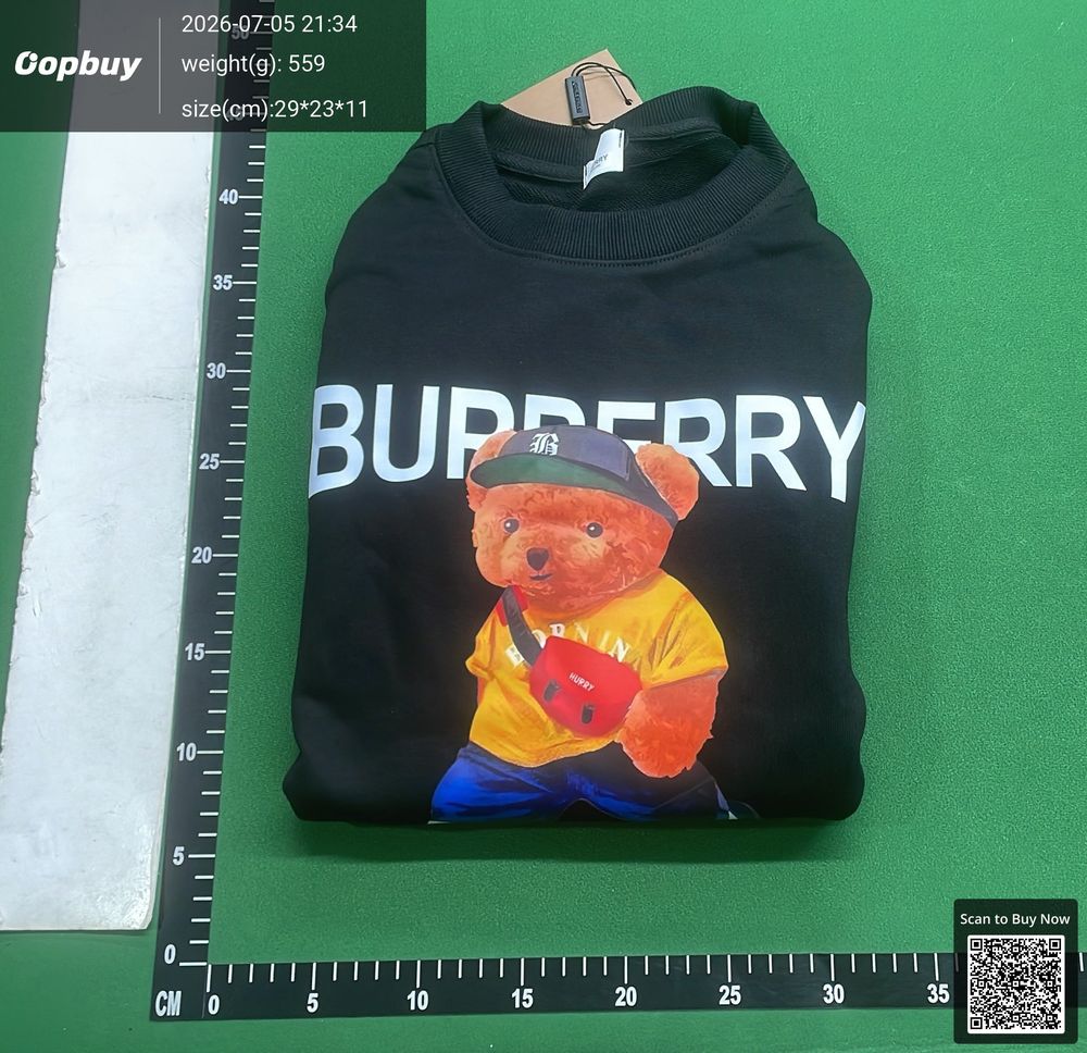Burberry Hoodie QC photo 4