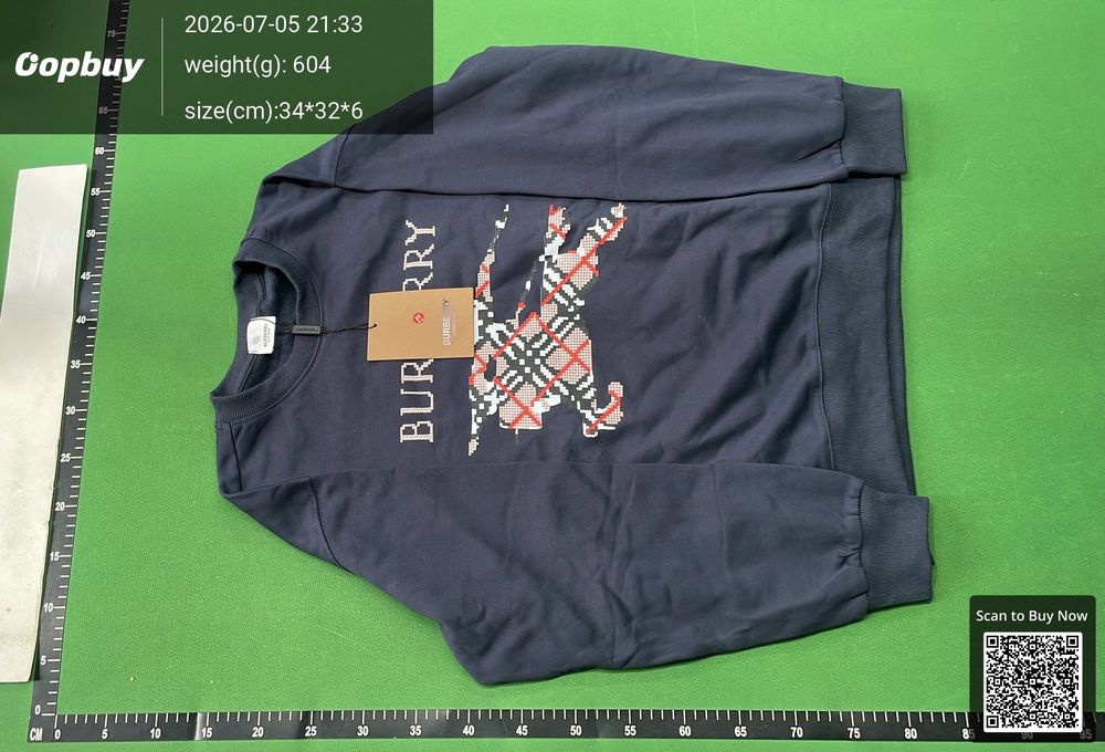 Burberry Hoodie QC photo 5