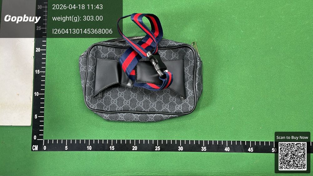 Gucci Bag QC photo 2
