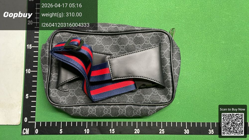 Gucci Bag QC photo 5