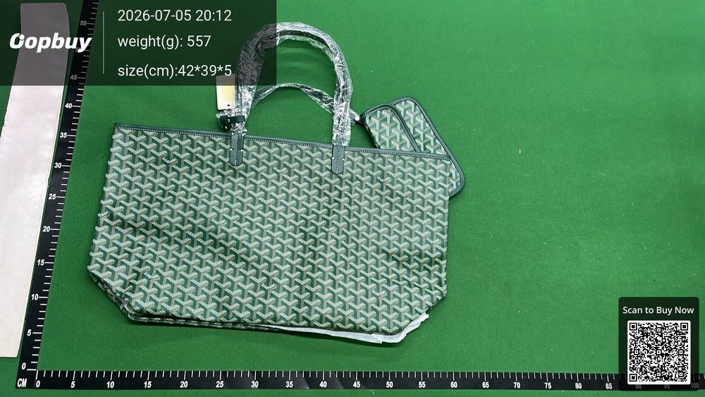 Goyard Bag QC photo 1