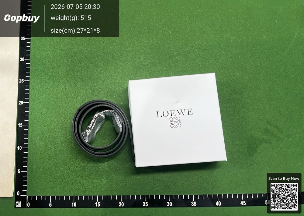 Loewe Belt QC photo 3