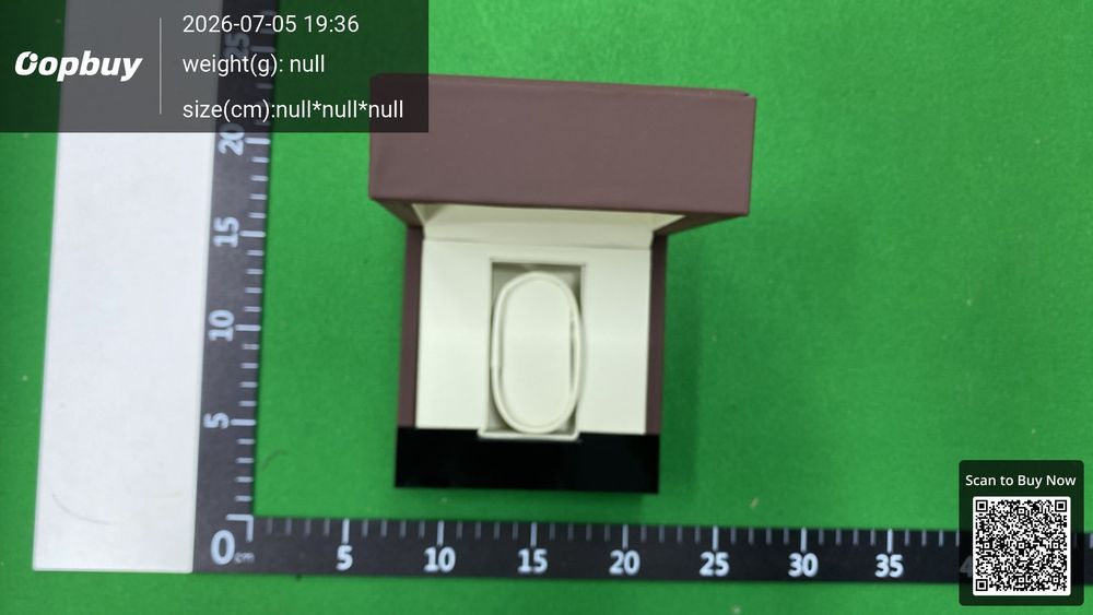 Patek Philippe Watch Box QC photo 2