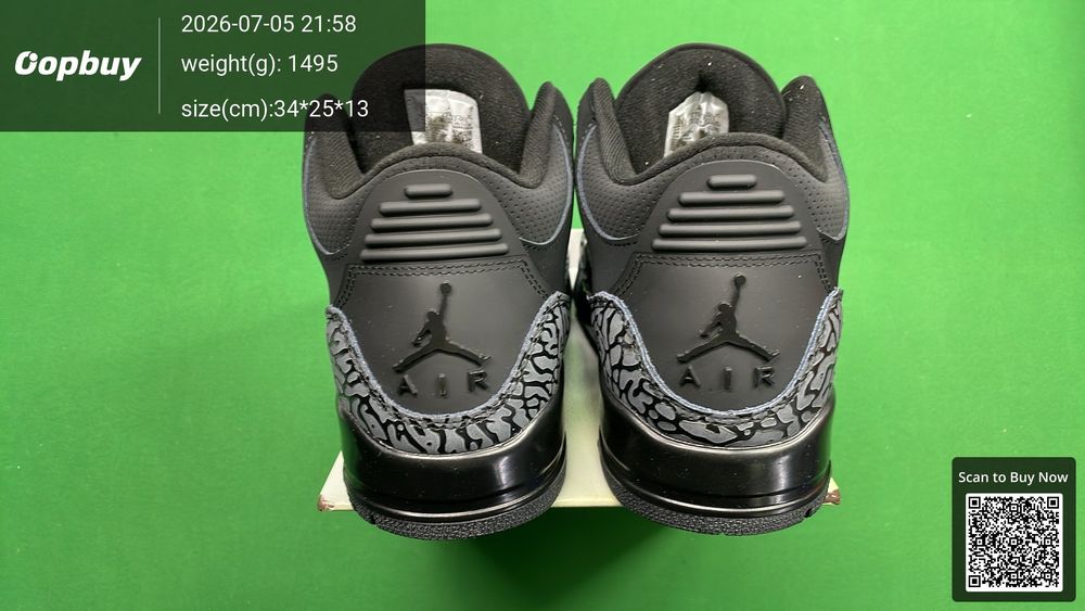 Jordan 3 QC photo 3