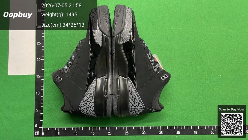Jordan 3 QC photo 4