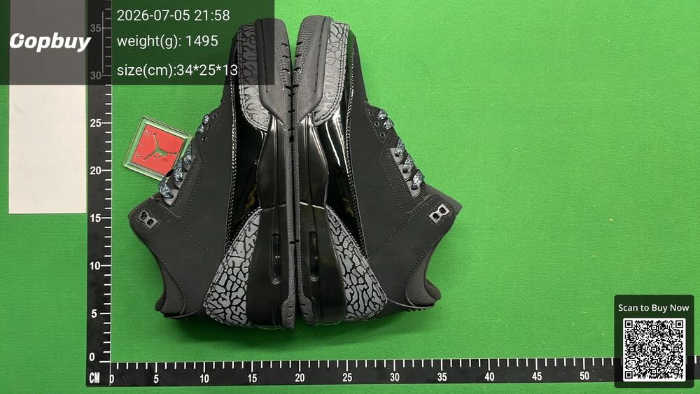 Jordan 3 QC photo 5