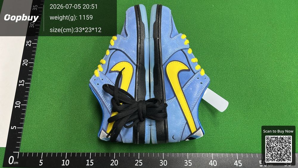 Nike Dunk QC photo 1
